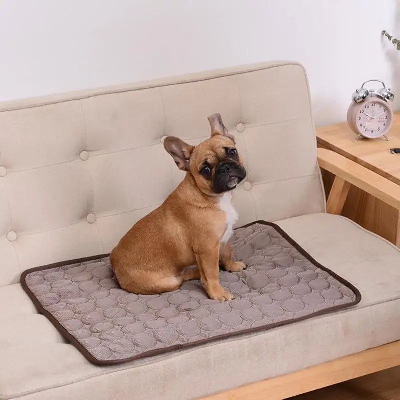 CoolNest™ Self-Cooling Pet Mat
